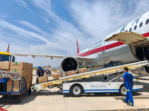 山東日照機場蝦苗旺季運輸工作圓滿收官，運輸量創(chuàng)歷史新高