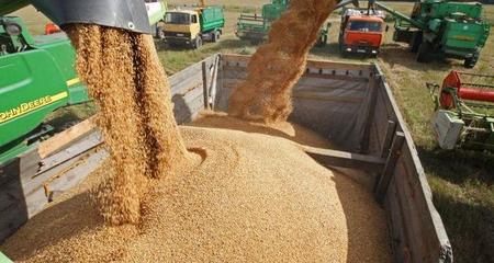 歐盟關稅壁壘下的俄羅斯谷物貿易博弈